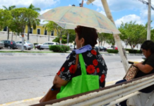 Will it rain less in Campeche? The dog days of summer are about to begin, and here’s how they will affect the state.