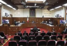 Supreme Court Rules in Favor of Mayan Communities Over Glyphosate Ban in Campeche
