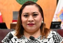Campeche Lawmaker Faces Animal Cruelty Charges After Controversial Event